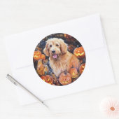 Halloween Goldendoodle met pompoenen eng Ronde Sticker (Envelop)