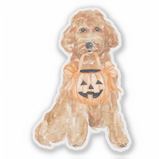 Halloween Goldendoodle Pumpkin Trick of Treating Sticker (Voorkant)