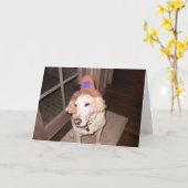 Halloween goosee kaart (Gele Bloem)