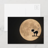 Halloween gothic black cat met volle maan briefkaart (Voorkant / Achterkant)