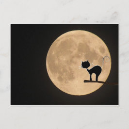 Halloween gothic black cat met volle maan briefkaart