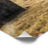 Halloween Gothic meisje in de begraafplaats Perfect Poster (Hoek)