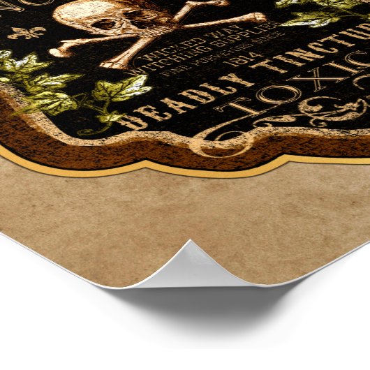 Halloween Gothic Skull en Crossbones Witch Potion Poster (Hoek)