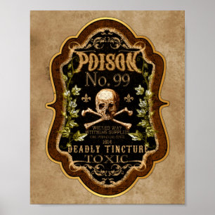 Halloween Gothic Skull en Crossbones Witch Potion Poster