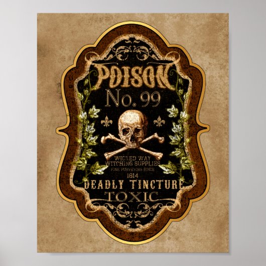 Halloween Gothic Skull en Crossbones Witch Potion Poster (Voorkant)