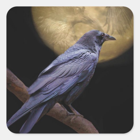 Halloween, Gothic Style Raven en Moon Vierkante Sticker (Voorkant)