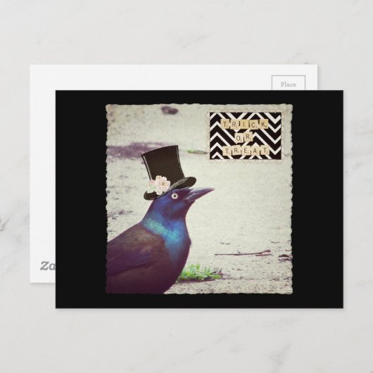 Halloween Grackle Briefkaart (Voorkant / Achterkant)