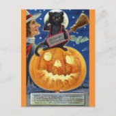 Halloween Grappig  Heks Zwart Kat Pompoen Briefkaart (Voorkant)