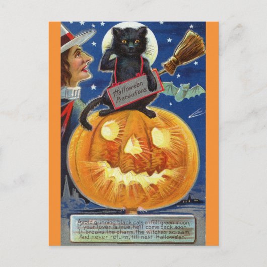 Halloween Grappig  Heks Zwart Kat Pompoen Briefkaart (Voorkant)