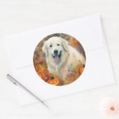 Halloween Great Pyrenees Met Pompoenen Eng Ronde Sticker (Envelop)