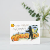Halloween Groet Zwarte Kat JackoLantern Briefkaart (Staand voorkant)