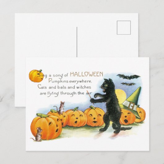  Halloween Groet Zwarte Kat JackoLantern Briefkaart (Voorkant / Achterkant)