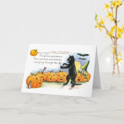 Halloween Groet Zwarte Kat JackoLantern Kaart (Gele Bloem)