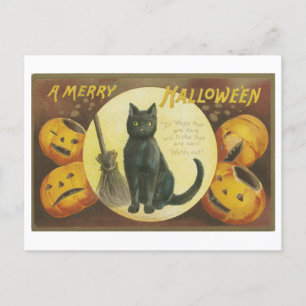  Halloween groeten met een zwarte kat Briefkaart