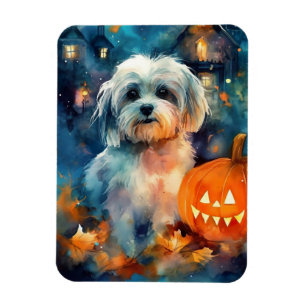 Halloween Havanese met pompoenen eng Magneet