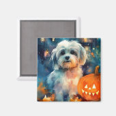 Halloween Havanese met pompoenen eng Magneet (Voorkant / Achterkant)