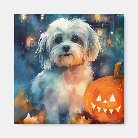 Halloween Havanese met pompoenen eng Magneet (Voorkant)