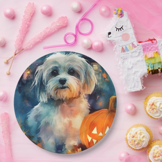 Halloween Havanese met pompoenen eng Papieren Bordje (Feest)
