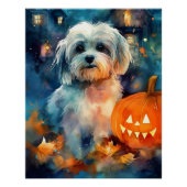 Halloween Havanese met pompoenen eng Perfect Poster (Voorkant)