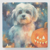 Halloween Havanese met pompoenen eng Stenen Onderzetter (Voorkant)
