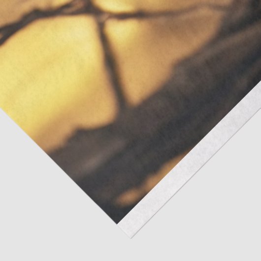 Halloween Heks Cat 4 Decoupage Papier (Detail)