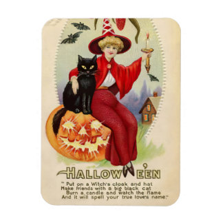 Halloween-heks en zwarte kat Magneet