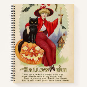 Halloween-heks en zwarte kat Notitieboek