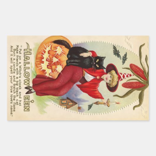  Halloween-heks en zwarte kat Rechthoekige Sticker (Voorkant)