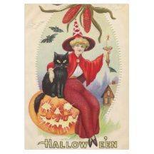 Halloween-heks en zwarte kat
