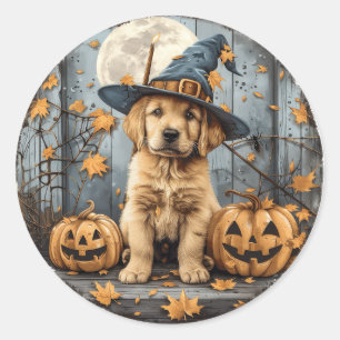 Halloween Heks Golden Retriever Puppy Pompoenen Ronde Sticker
