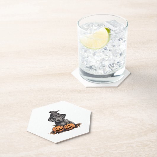 Halloween Heks Pet Pompoen Hond Grote Deen Kartonnen Onderzetters (Insitu)