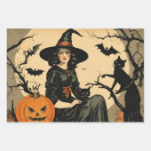  Halloween Heks, Pompoen, Zwarte Kat, Vleermuizen Inpakpapier Vel (Voorkant)
