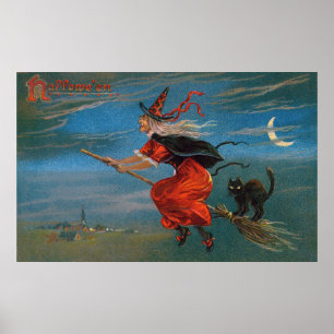 Halloween Heks Vliegende Zwarte Kat 's Nachts Poster