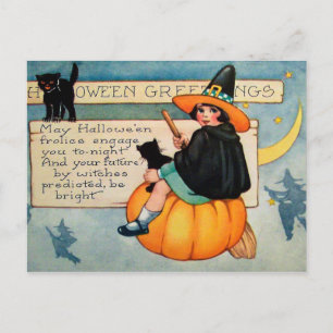 Halloween heks zwarte katten  briefkaart