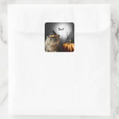 Halloween Heksenkat Met Pompoen Stickers (Tas)
