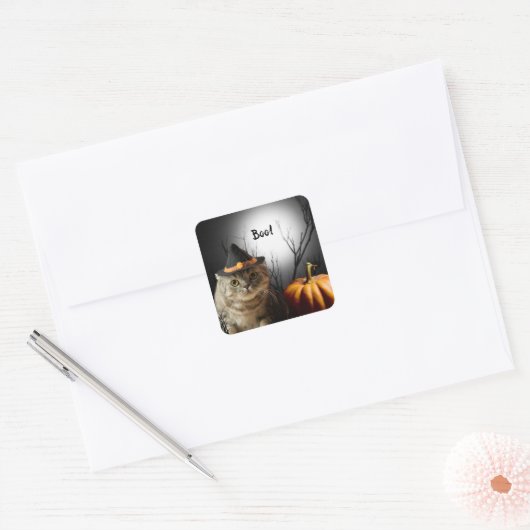 Halloween Heksenkat Met Pompoen Stickers (Envelop)