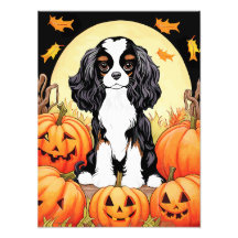 Halloween, Herfst-thema, Tri kleur Cavalier Spanie