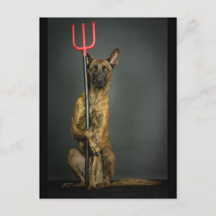 halloween hond briefkaart