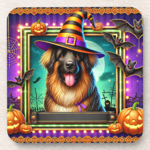 Halloween Hond Met Heks Pet Bier Onderzetter