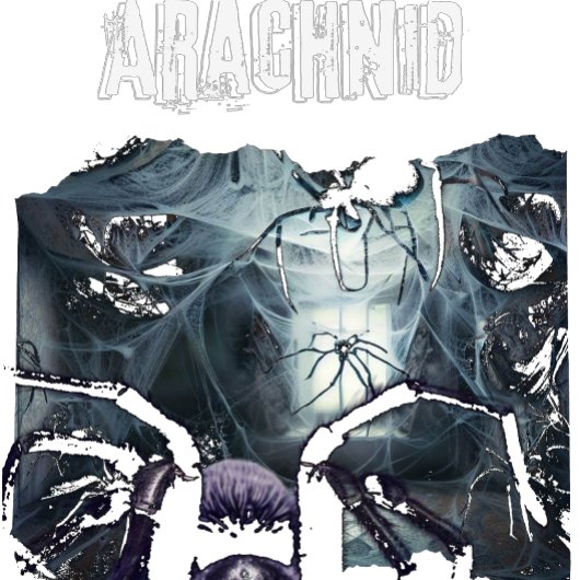  Halloween Horror Spinnen T-shirt