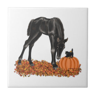 Halloween Horse Colt Kat Tegeltje