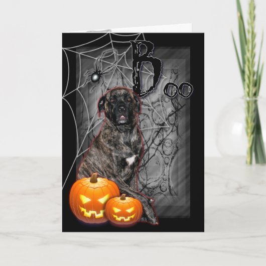 Halloween - Howloweenie Mastiff - Cycloon Kaart (Voorkant)