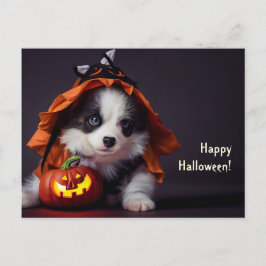 Halloween Hund. Welpe mit Kürbissen. Niedlich. Briefkaart