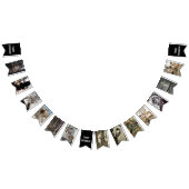  Halloween Illustratie Bunting Banner (Alle)