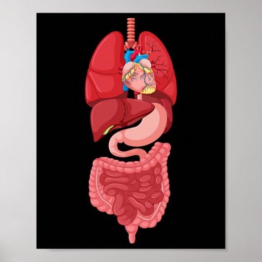 Halloween inwendig orgaandiagram anatomie poster (Voorkant)
