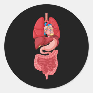 Halloween inwendig orgaandiagram anatomie ronde sticker