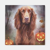 Halloween Irish Red Setter met pompoenen eng Magneet (Voorkant)