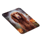Halloween Irish Red Setter met pompoenen eng Magneet (Rechterzijde)