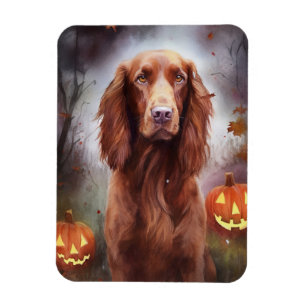 Halloween Irish Red Setter met pompoenen eng Magneet