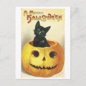 Halloween Jack-o'-lantaarn, ouderwetse kat Briefkaart (Voorkant)